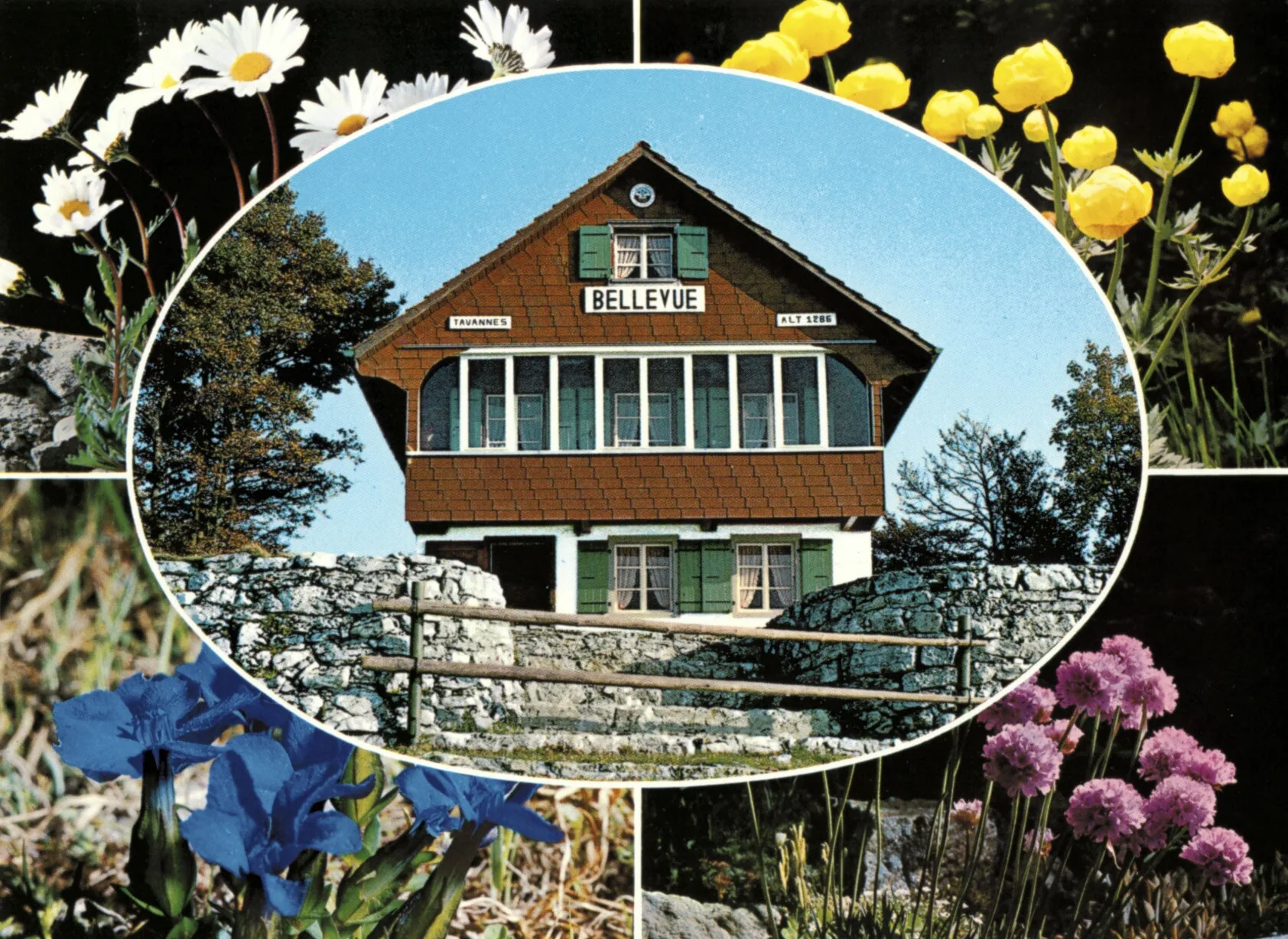 eine Collage aus Blumen und einem Haus