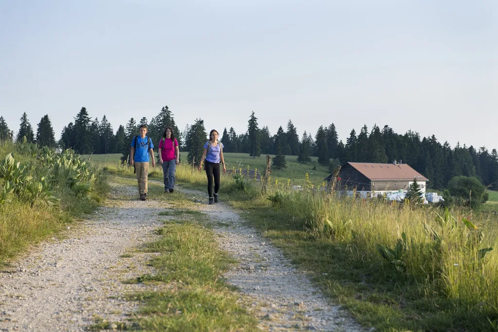 drei Frauen, die auf einem Weg in der Natur spazieren gehen