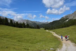 eine Person, die auf einem Pfad in einem Feld spazieren geht