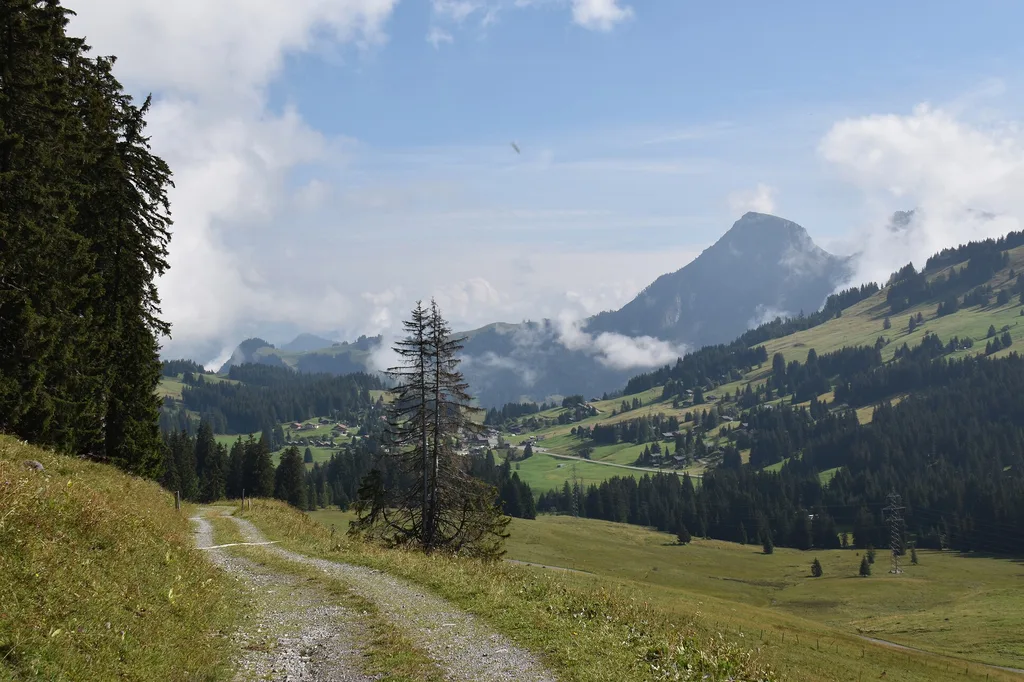 ein Blick auf das Tal vom Gipfel des Berges