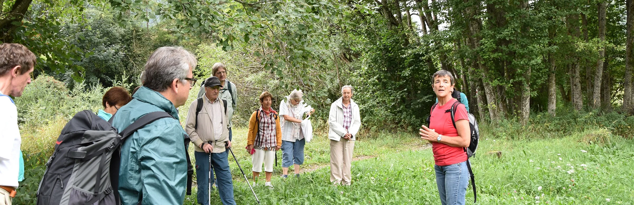 eine Gruppe von Menschen, die durch einen Wald gehen