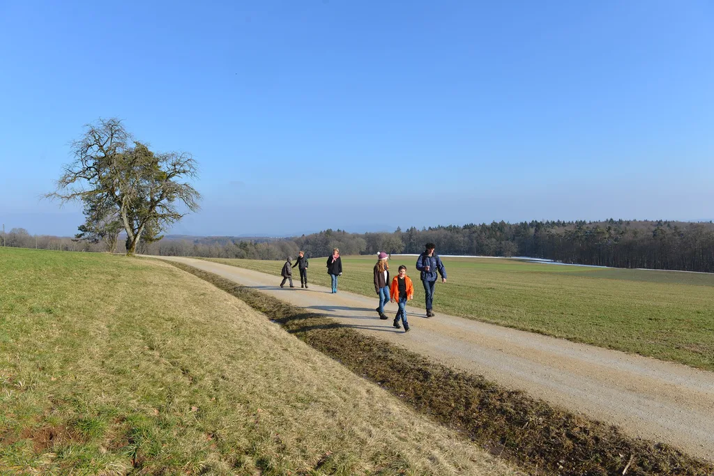 eine Gruppe von Menschen, die auf einem Weg gehen
