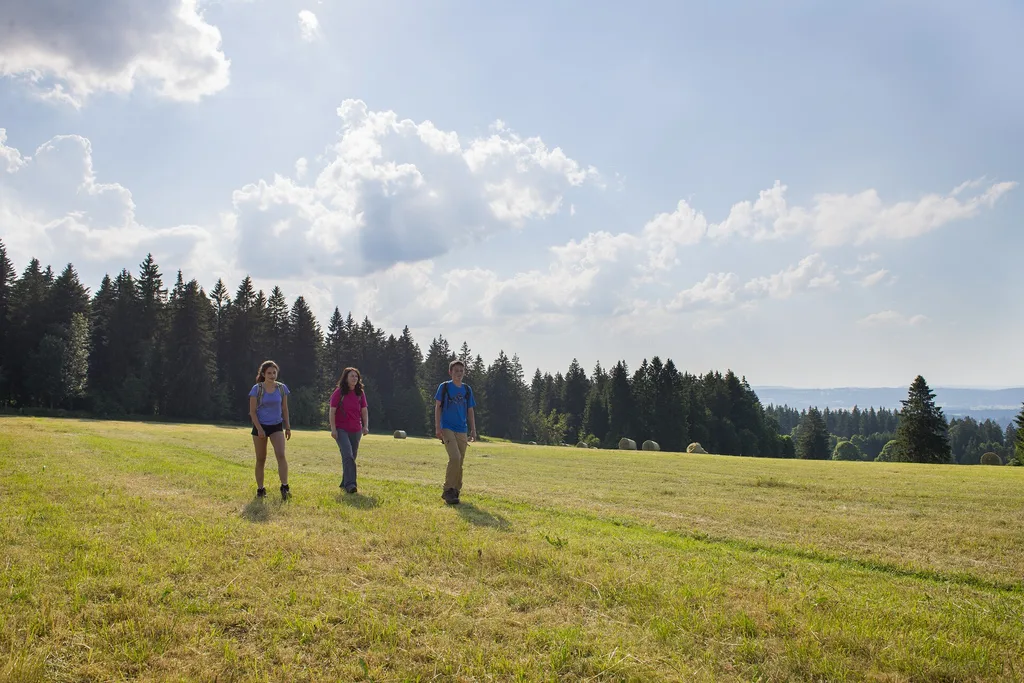 drei Personen auf einem Feld