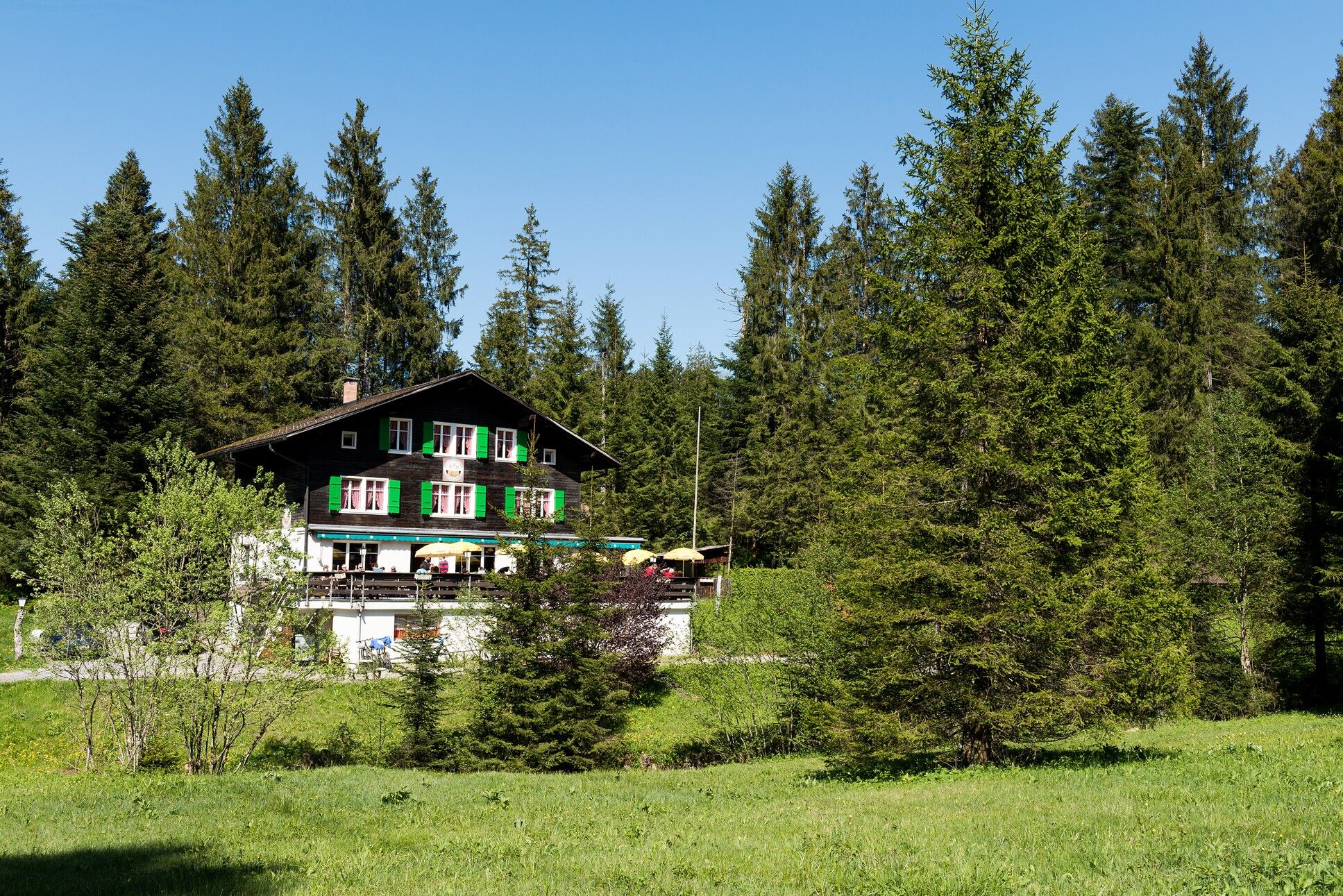 Bild aus der Ferne vom Haus Krienseregg