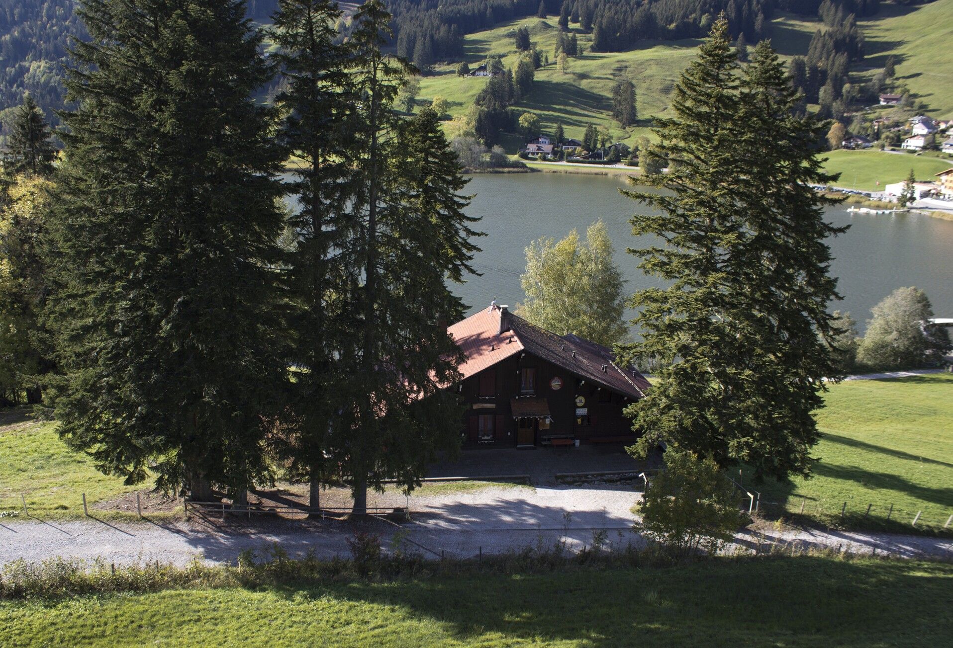 ein Haus inmitten eines Waldes 