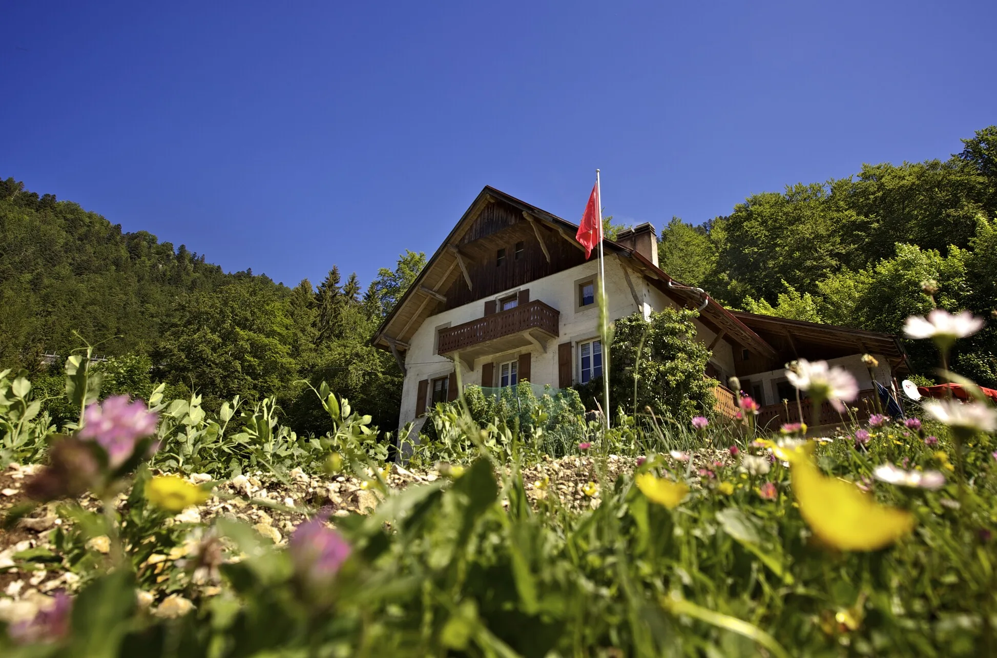 das Haus in der Mitte des Waldes