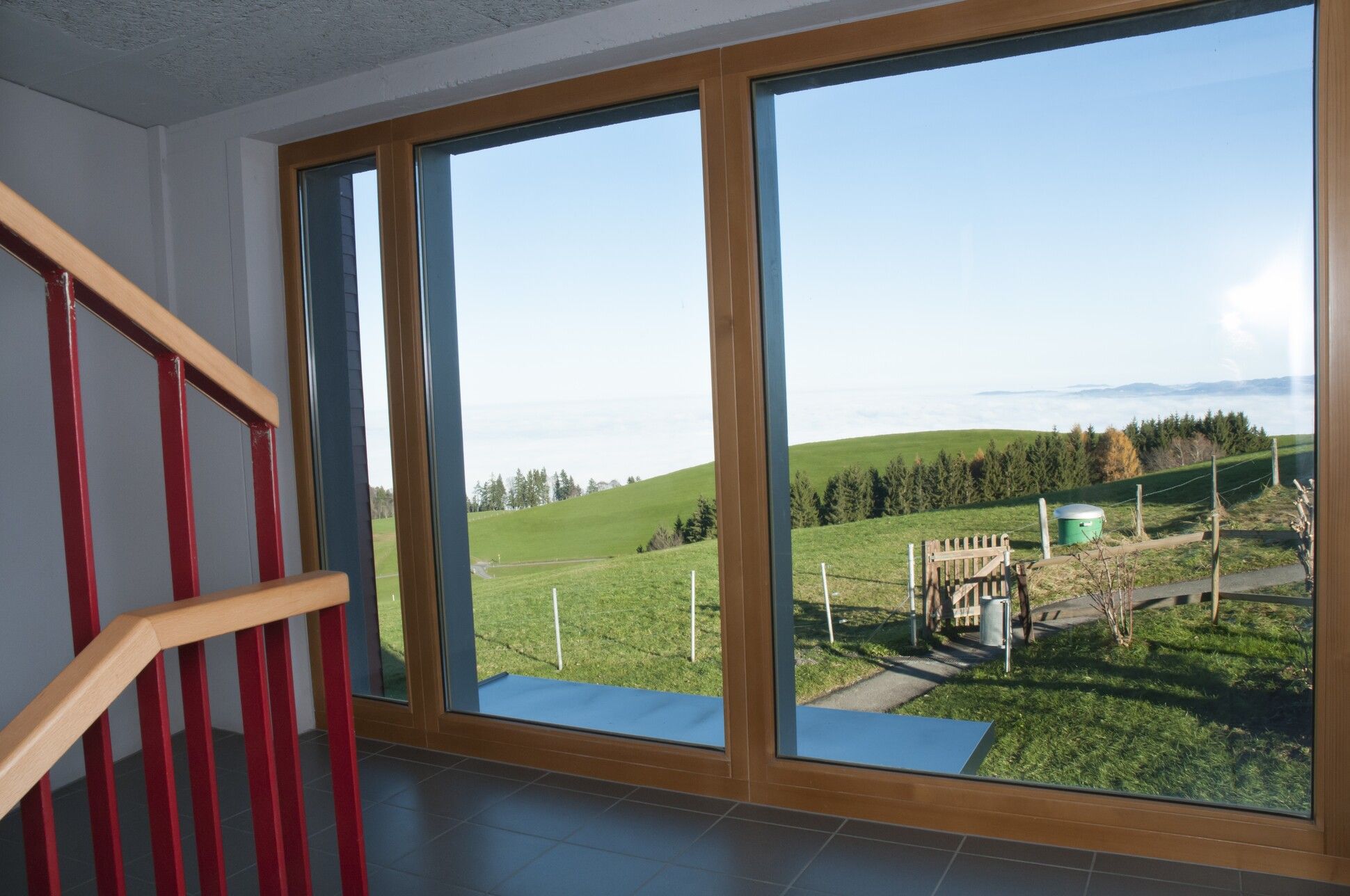 Blick aus dem Wohnzimmer 