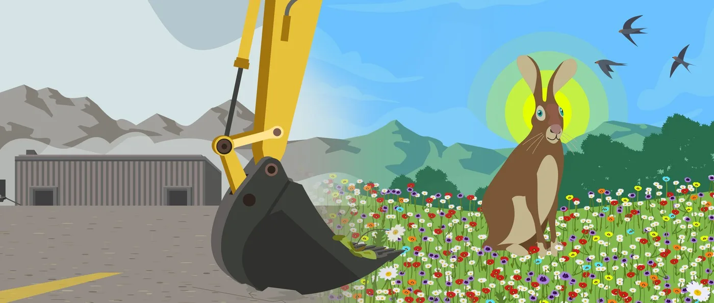 ein Bulldozer, der ein Blumenfeld umgräbt
