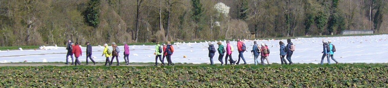 Auf den Spuren der Römer durch den Schaarenwald – Naturfreunde Schaffhausen