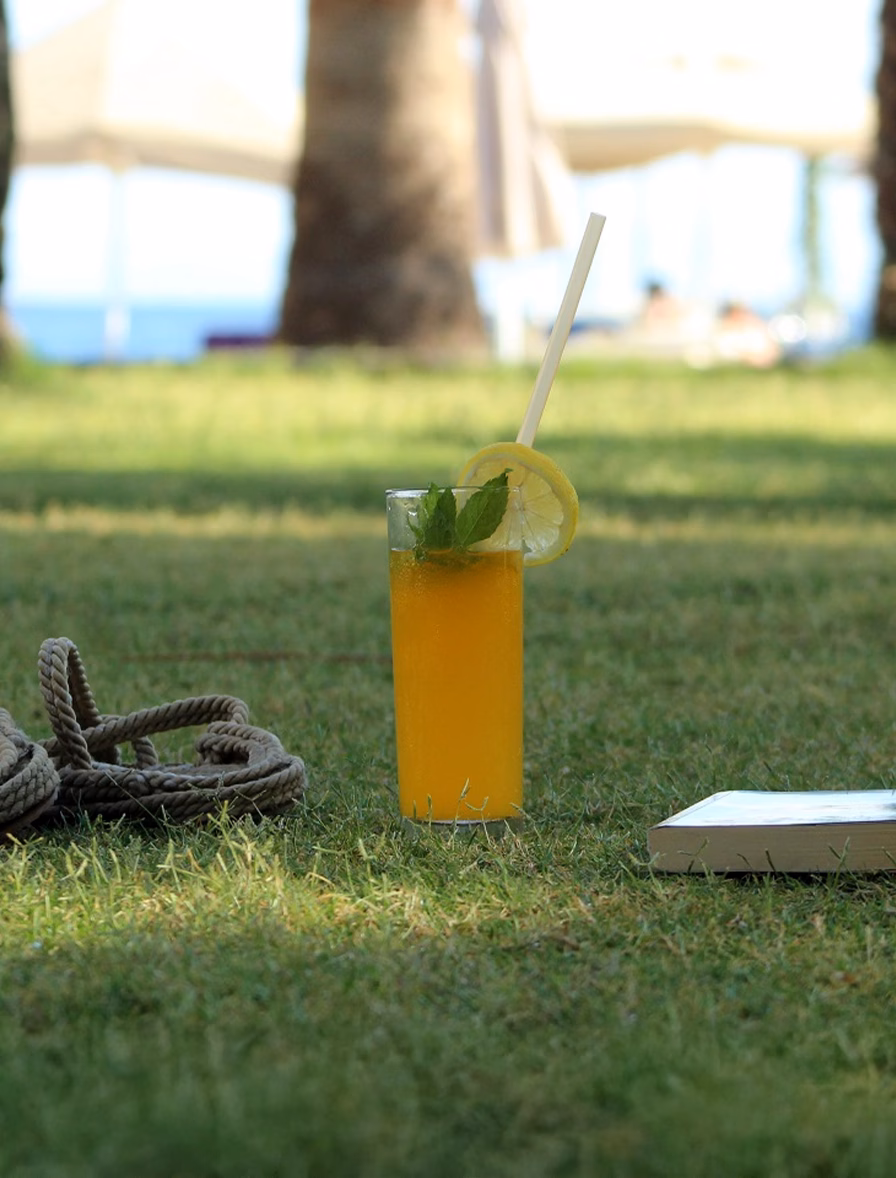 Bodrum Bar & Restoran