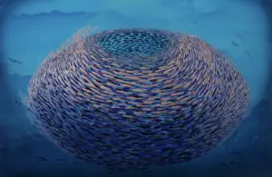 sonsuza-dek-karisik-teknik