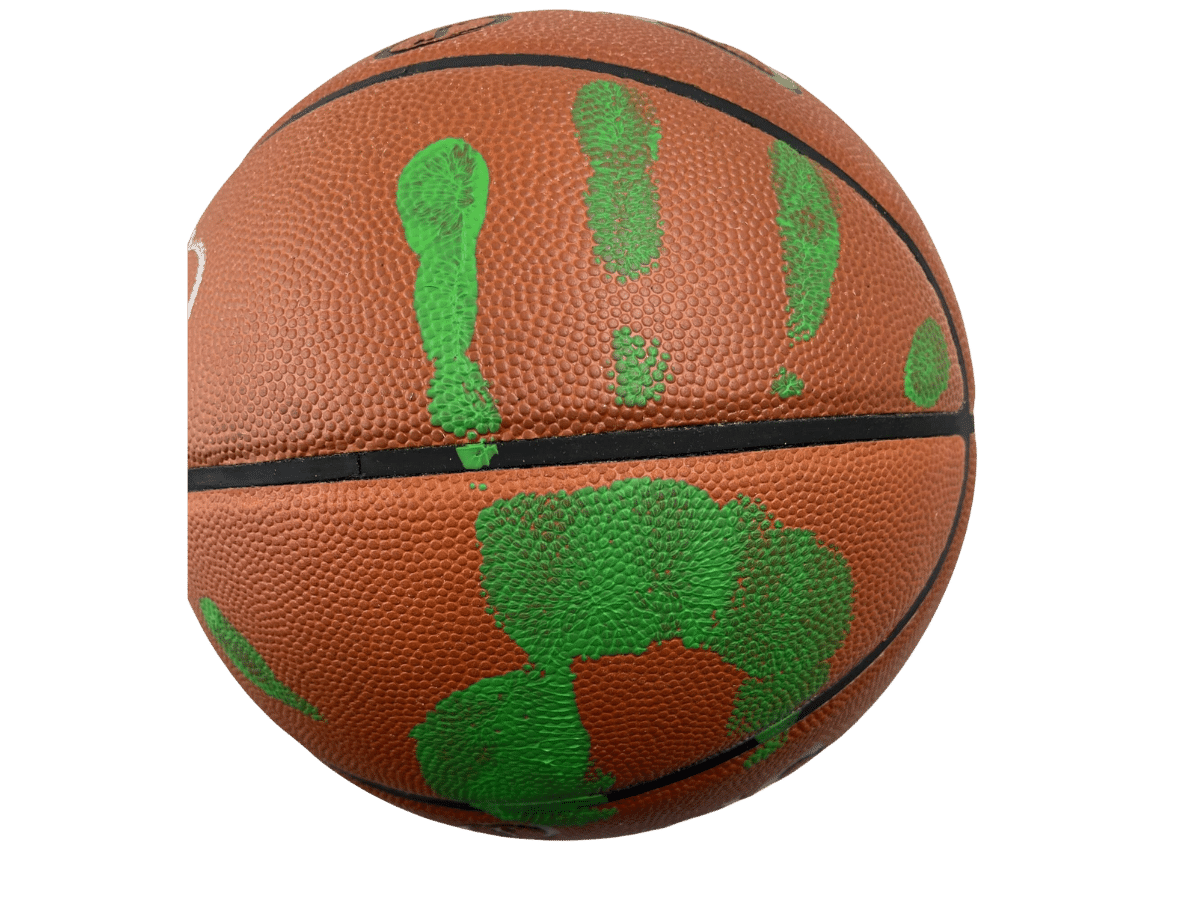 Larry Bird Boston Celtics Signed Spalding Official Game Ball Silver Signature & Green Hand Print [B485472]