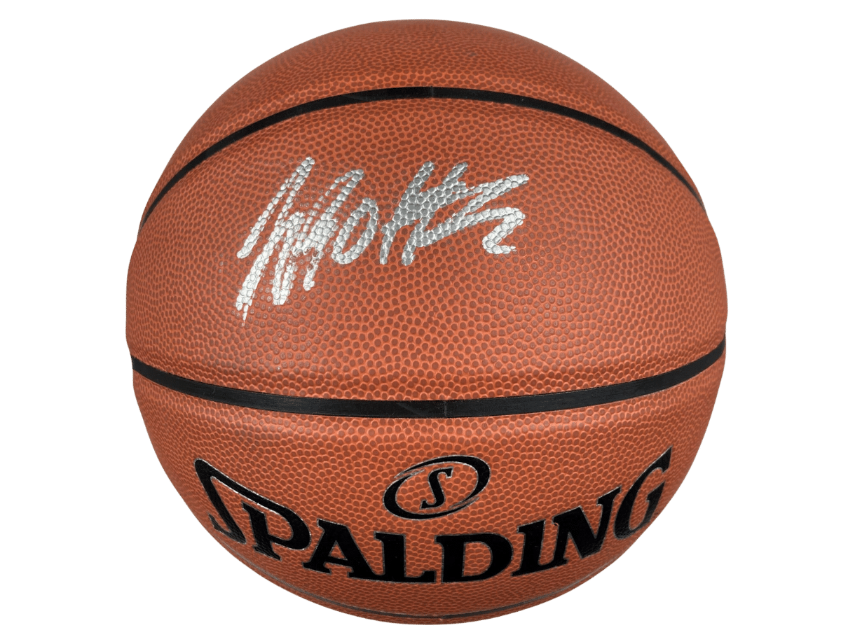 Terry-Rozier-Charlotte-Hornets-Authentic-Signed-Spalding-Basketball-w-Silver-Signature-AE-73158