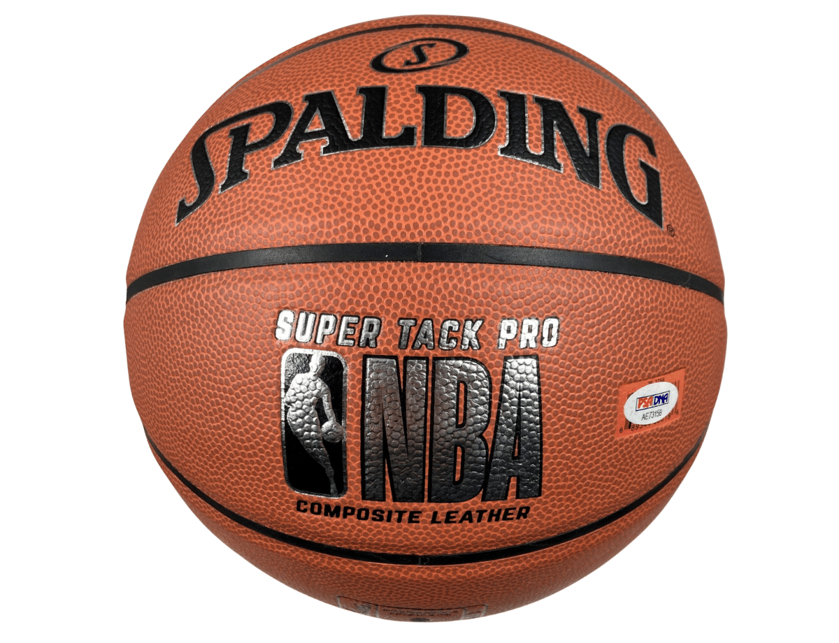Terry Rozier Charlotte Hornets Authentic Signed Spalding Basketball w/  Silver Signature [AE 73158]
