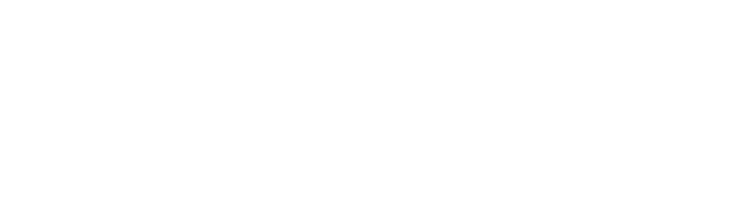 berna-kizilhan-logo