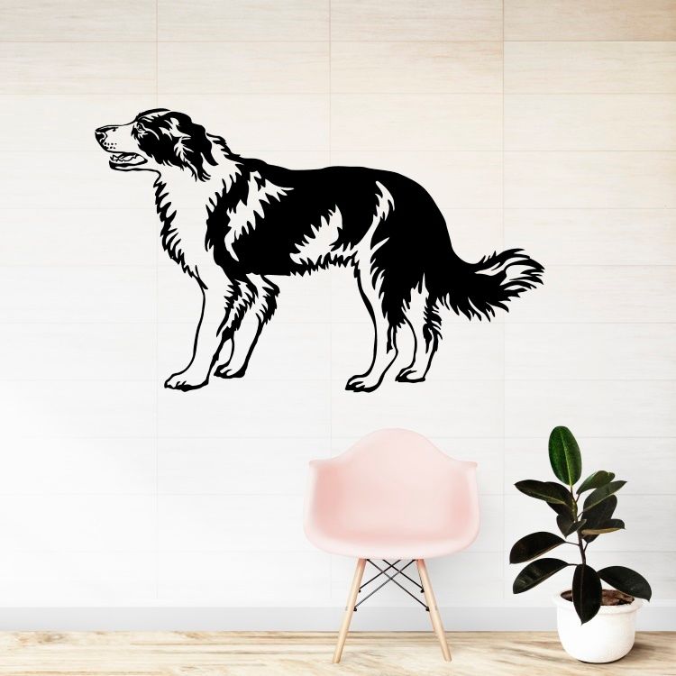 Pes Border kolie - vinylová samolepka na zeď