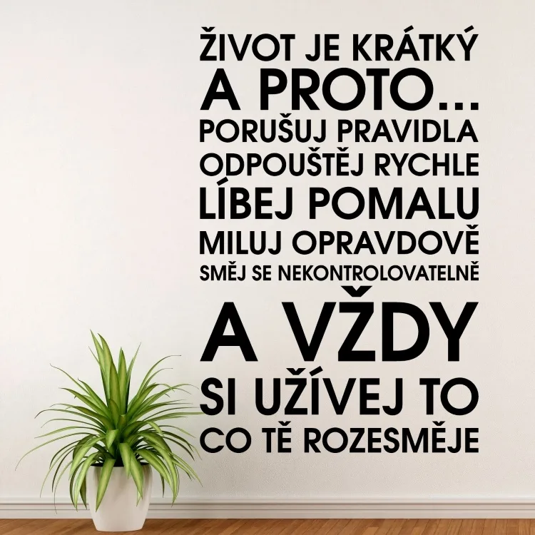 Život je krátký - vinylová samolepka na zeď