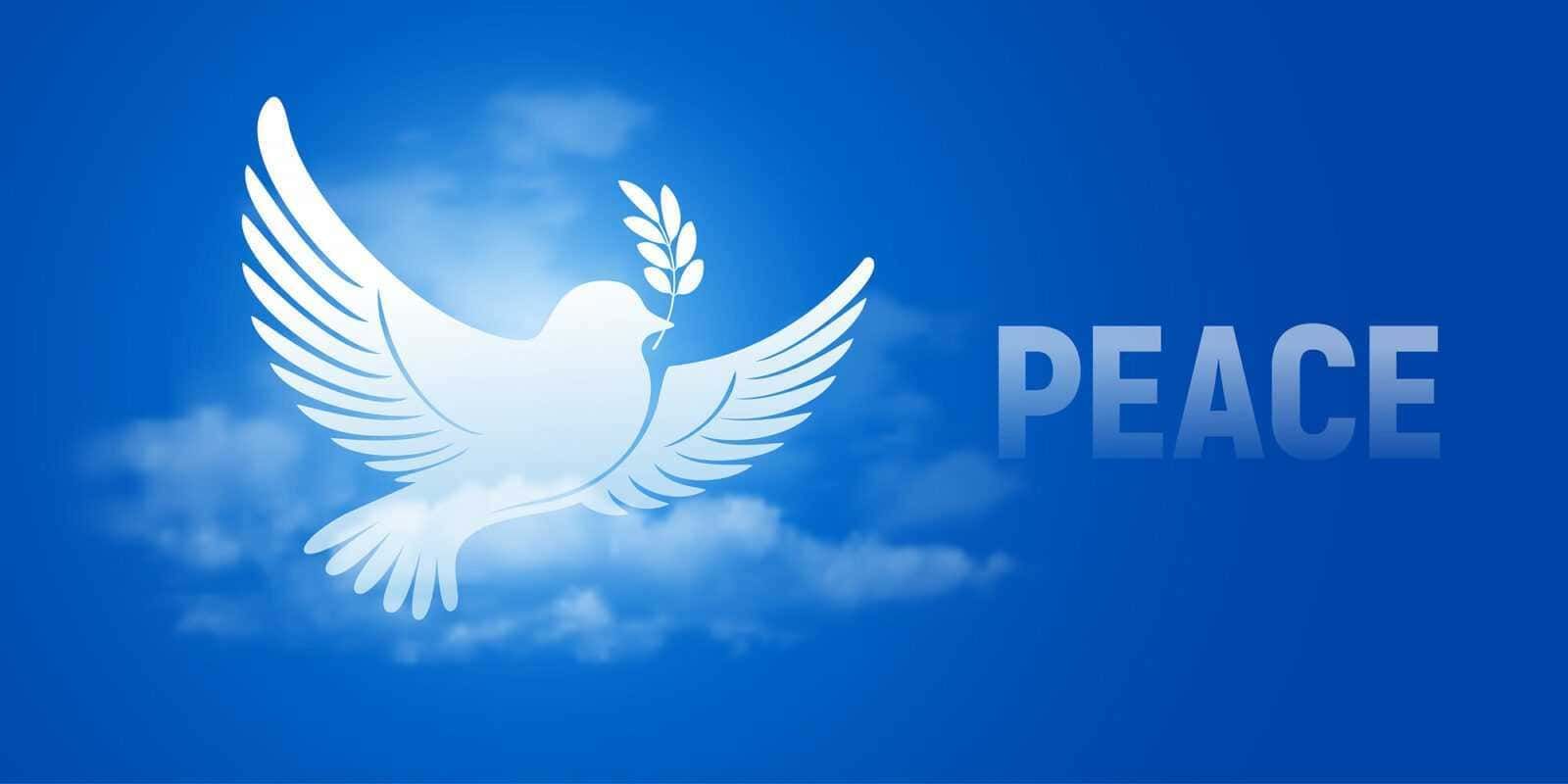 Cosa simboleggia il ramoscello di ulivo?