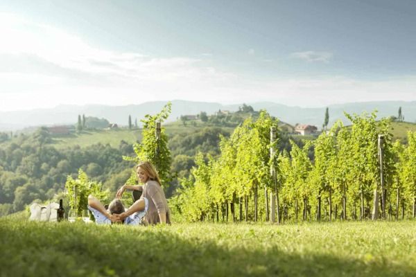 Landschaft eines Weingartens mit zwei Personen im Vordergrund die bei einem Picknick einen Wein trinken
