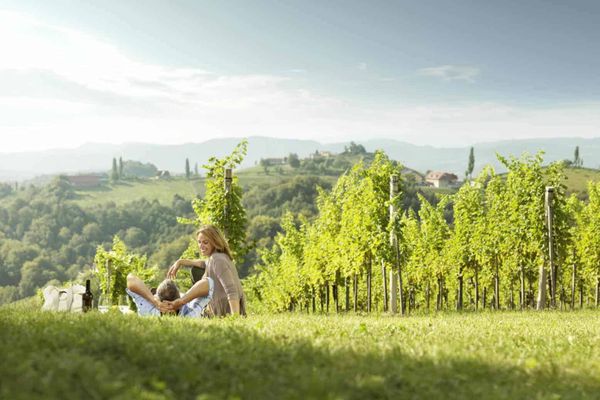 Landschaft eines Weingartens mit zwei Personen im Vordergrund die bei einem Picknick einen Wein trinken