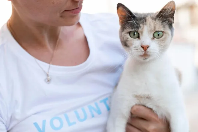 associazioni animaliste in italia gatto