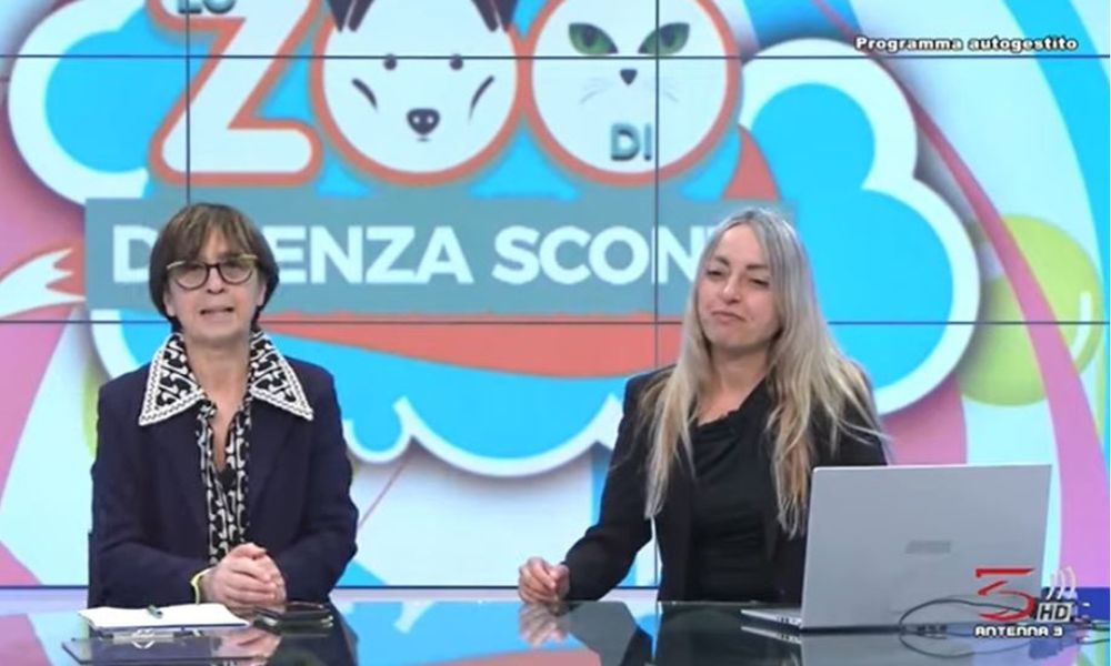Lo zoo di senza sconti Antenna 3 presenta quattro zampe in famiglia