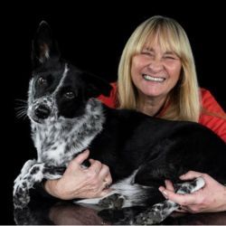 Laura Vaselli quattrozamepinfamiglia radio