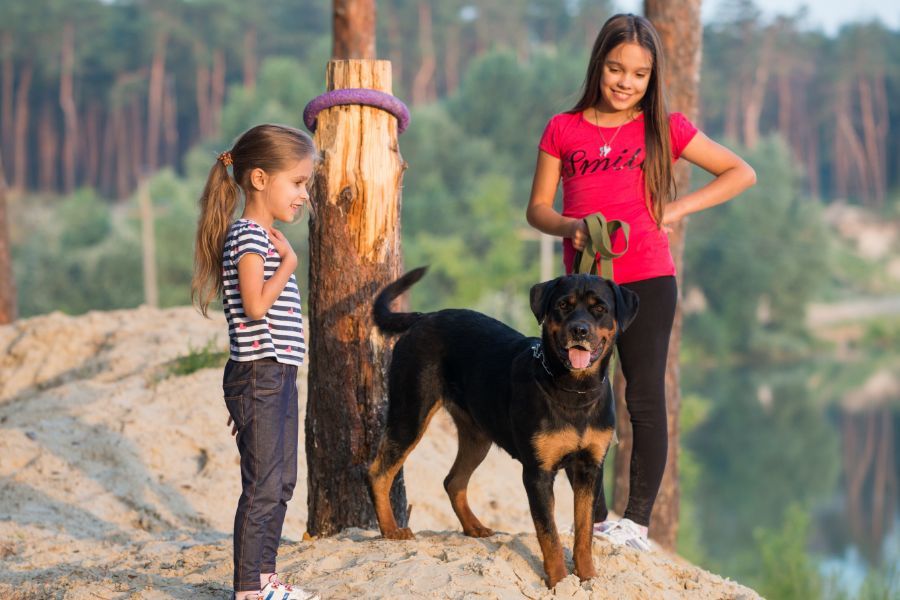 Cornice Portafoto In Legno Con Sagoma Rottweiler - Per Foto 10x15 Cm, Da Tavolo O Parete, Idea Regalo Per Amanti Dei Cani - 2