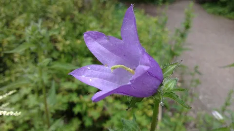 Nokia N9’un kamerasından örnek fotoğraflar