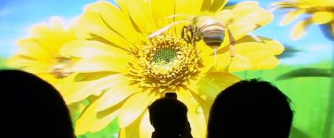 Dünyanın gözlük gerektirmeyen en büyük 3D ekranı Japonya’da sergilendi – Video