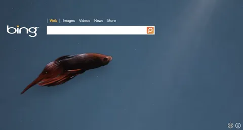 Windows 8 beta sürümünün tanıtımında Bing de kullanılacak