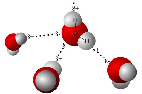 Google’ın PageRank algoritması moleküller arasındaki etkileşimi modellemede kullanılıyor – Video