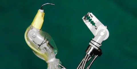 Singapurlu araştırmacılar mide kanserini temizleyen yengeç robot geliştirdiler