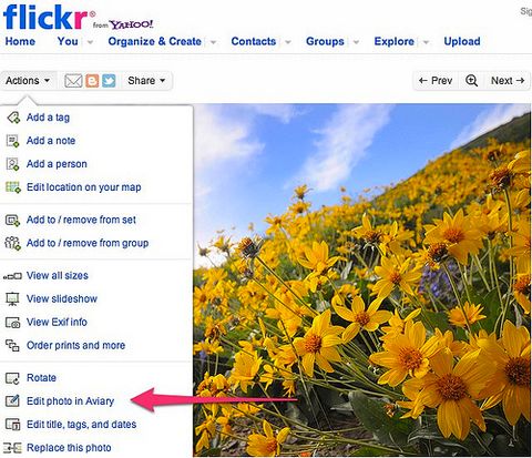 Flickr kapanmak üzere olan Google Piknik yerine HTML5 tabanlı Aviary’yi kullanmaya başladı
