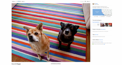 Flickr yeni akışkan tasarımını kullanıma sundu