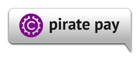 Pirate Pay Rusya’da 44845 illegal film indirme işlemini engelledi