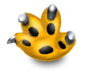 Apple applet’lerin otomatik çalışmasını engelleyen yeni bir Java için Mac güncellemesi yayınladı