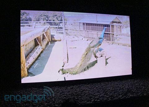 Panasonic IFA’ya 145, 103, 60 ve 20.4 inç’lik iddialı plazma ve LED panellerle geldi