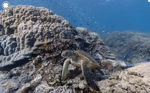 Google Street View sualtına indi