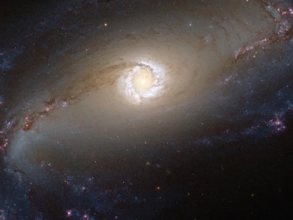 nasa-seyfert-ngc-1097-010113 NASA yeni yılı yeni doğmuş bir yıldızın fotoğrafıyla kutladı