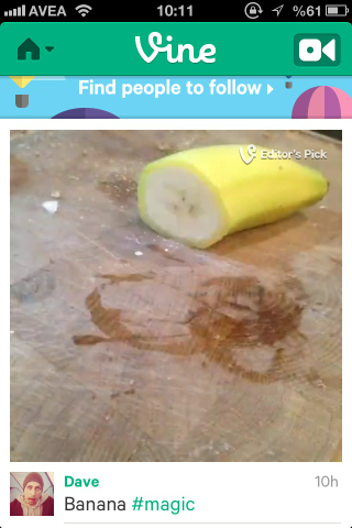 vine-3
