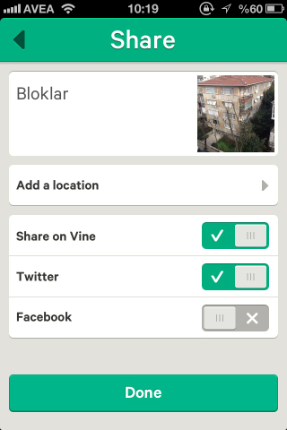 vine-4