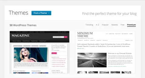 WordPress.com yıllık 299 dolar ücretli Business paketini kullanıma sundu