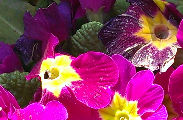 htc-one-ultrapixel-yuzde-100-2