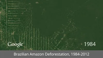 google-hizlandirilmis-cekim-amazon