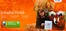 Mozilla web uygulamaları için güçlendirilmiş Firefox 22’yi yayınladı