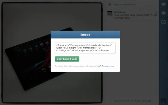 instagram-web-embed-110713 (565 x 355)
