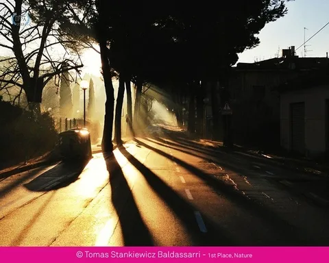 2013 iPhone Fotoğrafçılık Ödülleri’nin kazananları duyuruldu