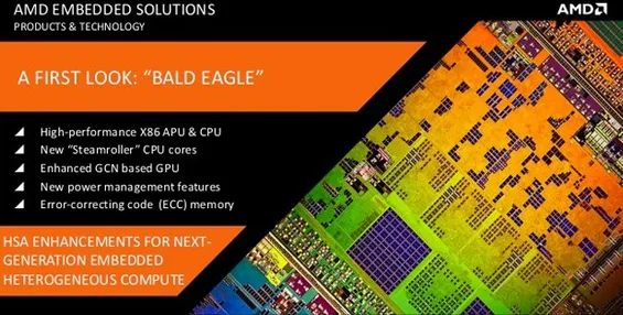 amd-2014-bald-eagle-110913