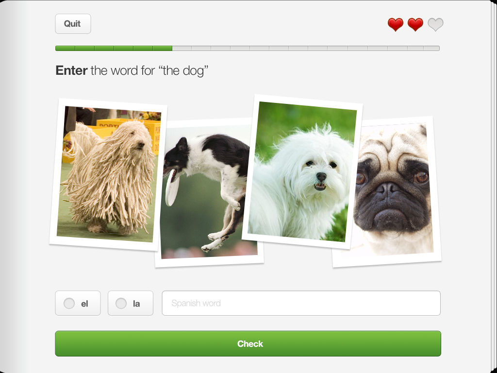 duolingo-ipad